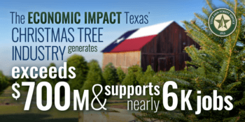 "The economic impact Texas Christmas tree industry generates exceeds $700M and supports nearly 6K jobs" text over Christmas trees and a barn.