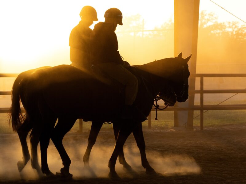 a photo of two people on horses silhouetted against the setting sun, as dust from the arena swirls around them