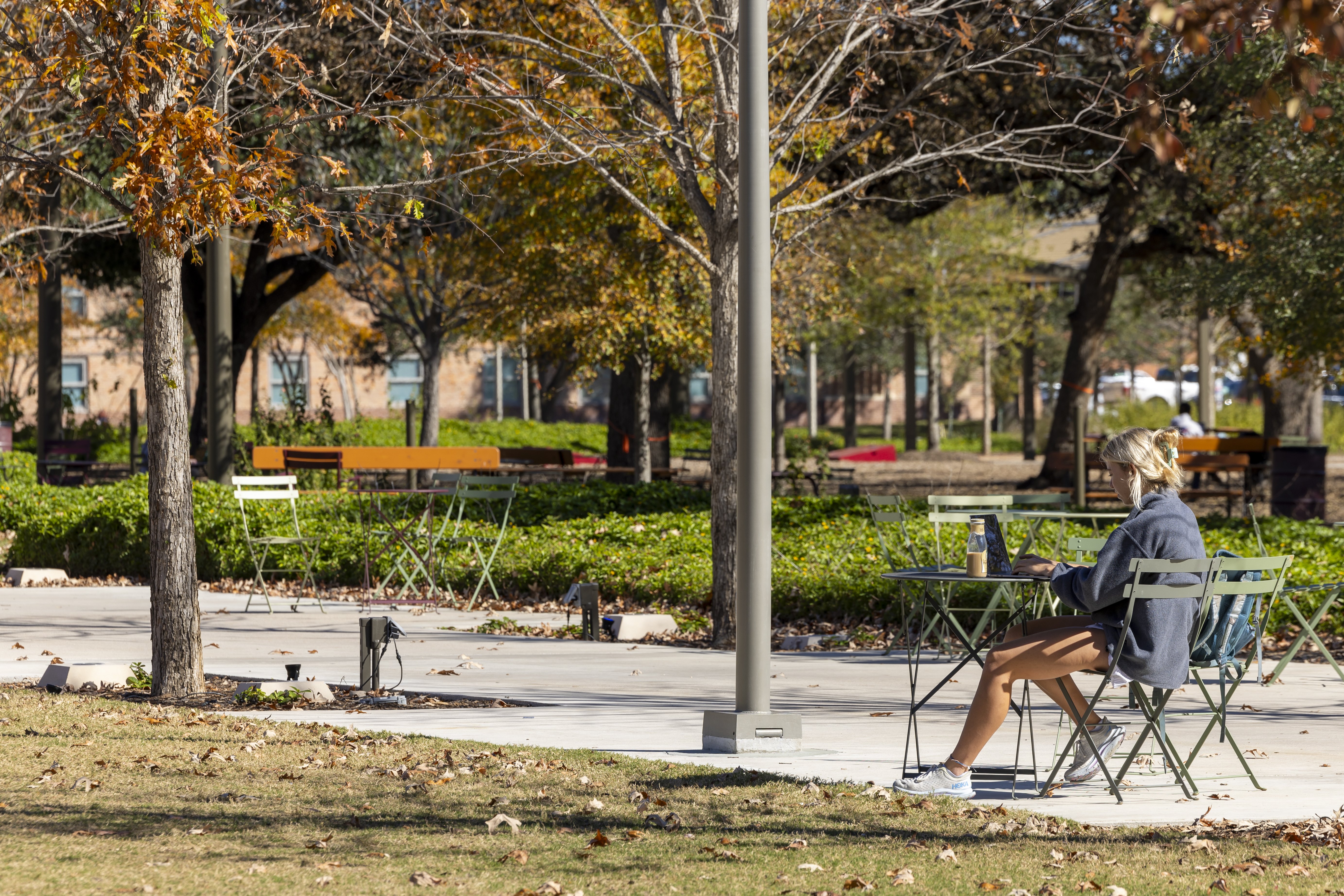 Study Suggests People In Urban Areas With More Green Space Have Better  Mental Health - Texas A&M Today