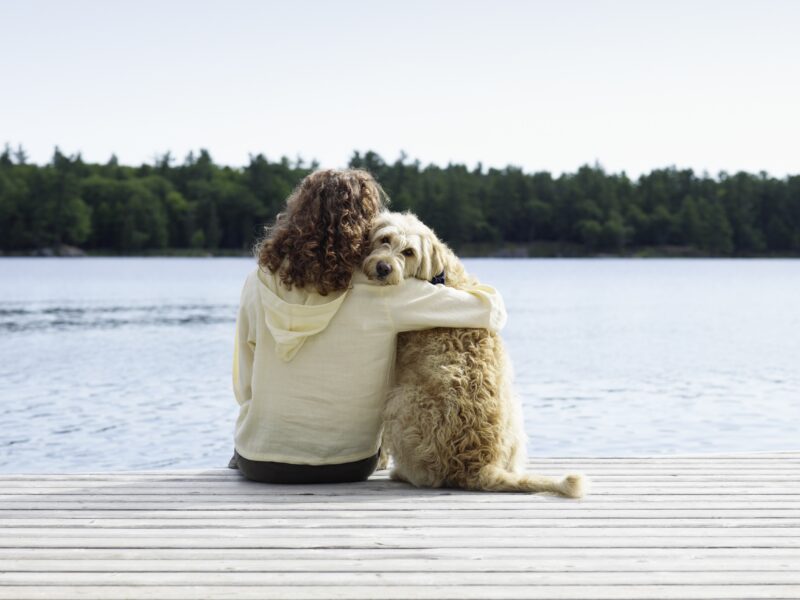 A photo of a person sitting with a dog on the dock of a lake.