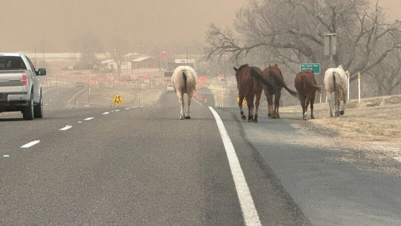 A photo of five horses walking down a highway with wildfire smoke in the air.