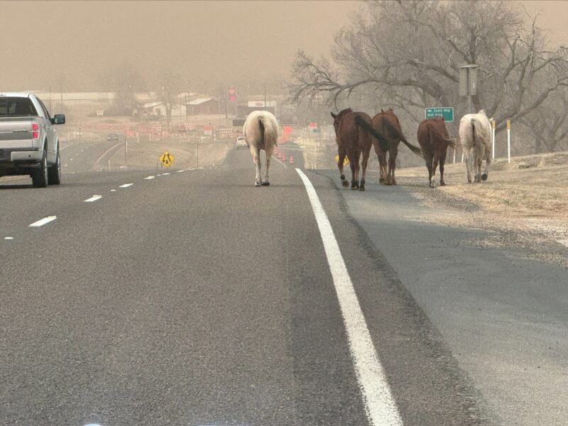 A photo of five horses walking down a highway with wildfire smoke in the air.