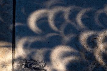 Dozens of crescent moon shadows on a sidewalk during a partial solar eclipse.