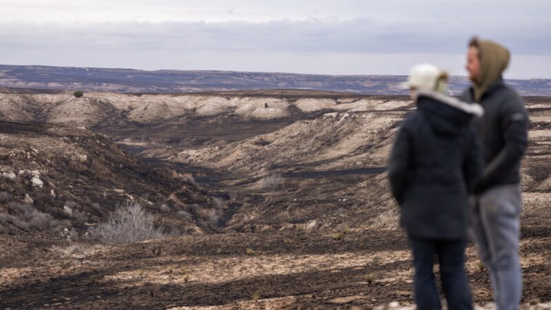 A man and a woman stand on a hill overlooking charred land burned in a fire