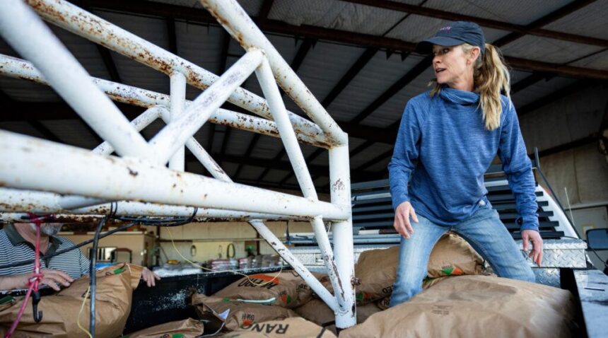 A woman wearing a baseball cap and blue sweatshirt loads bags of feed onto a pallet.