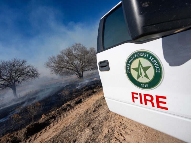 A photo of an open truck door with the Texas A&M Forest Service emblem and the word FIRE. In the background, a field and several trees have been turned black by wildfire. Parts of the field smoke and smolder.