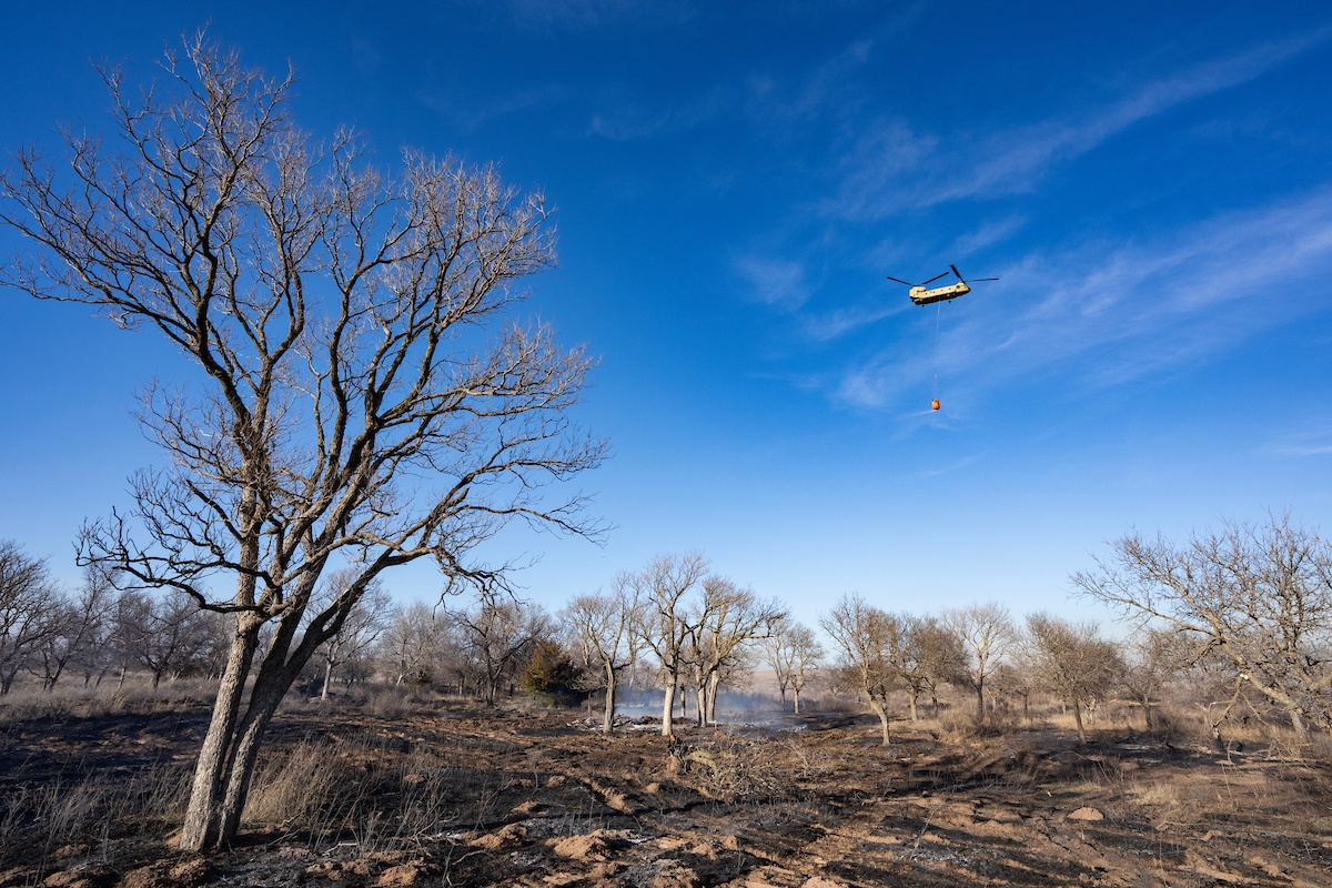 Agricultural Losses From Texas Panhandle Wildfires Top $123 Million ...