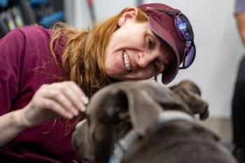 A photo of a veterinarian examining a dog.
