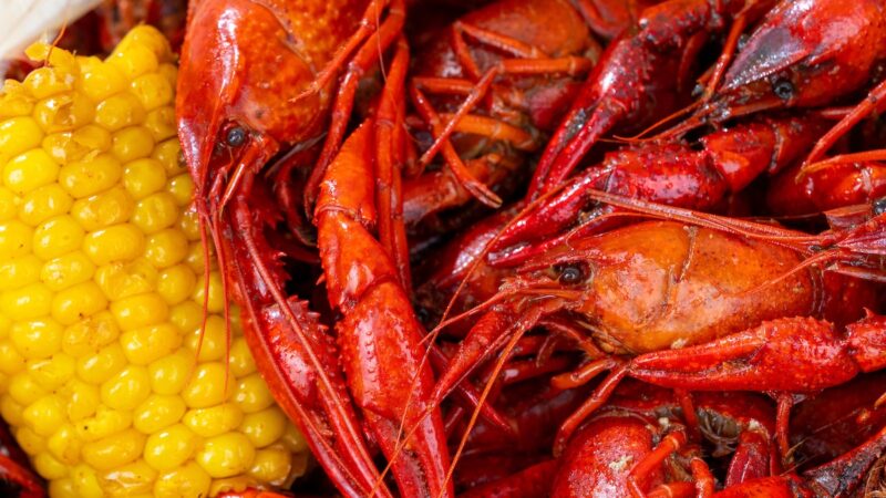 A photo of several crawfish and an ear of corn
