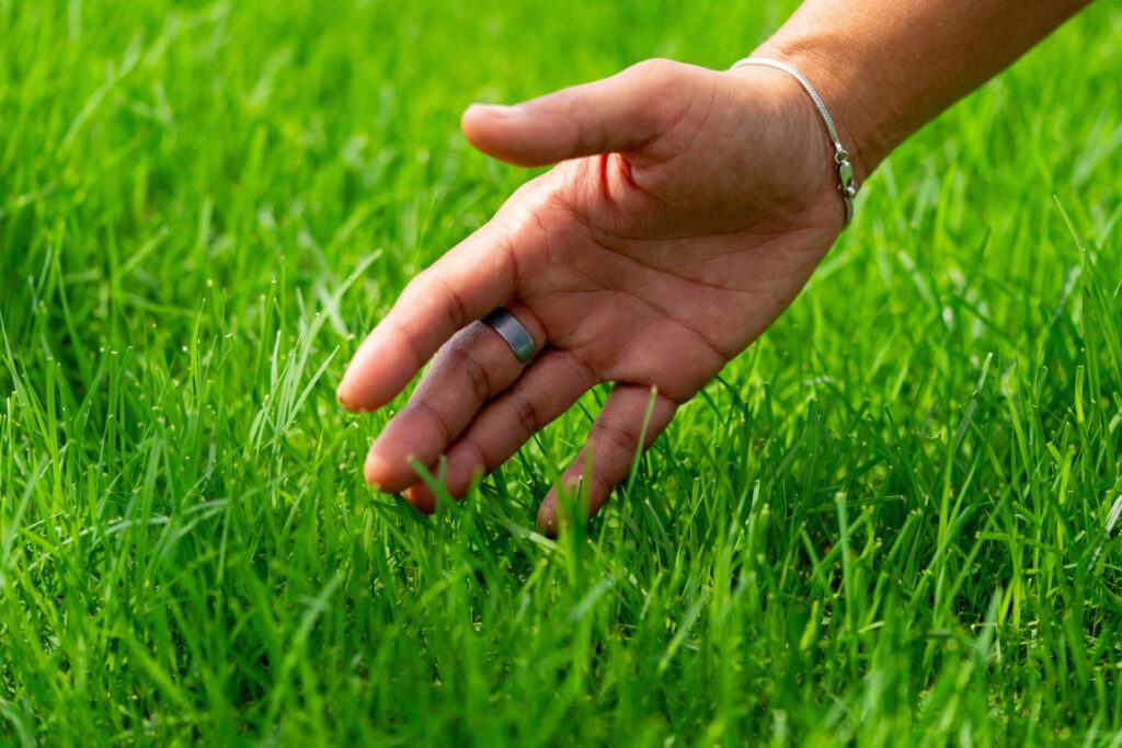 A hand touching blades of grass.