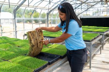 A woman wearing a blue shirt and dark pants lifts up a sample of turf, pointing to the underside of it.