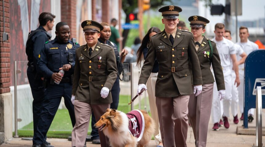 Reveille X arrives to the red carpet escorted by her handlers and followed by the Yell Leaders