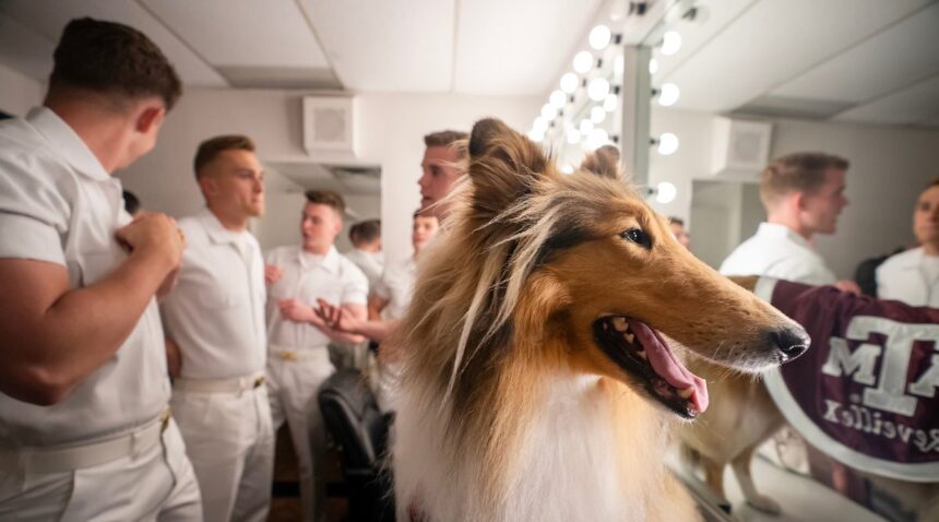 Reveille X checks herself out in the dressing room mirror, the Yell Leaders behind her