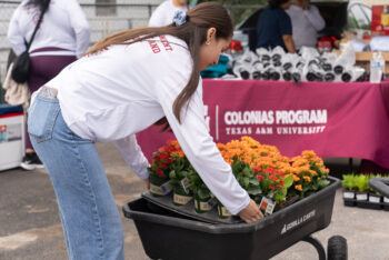 a volunteer lifting a pallet of fresh flowers for planting