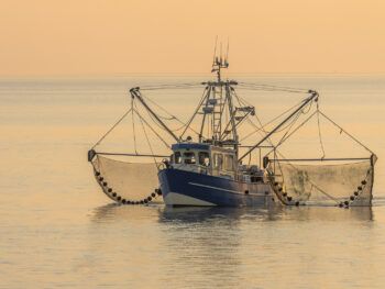 A photo of a fishing boat on a calm body of water in early morning or late evening light.