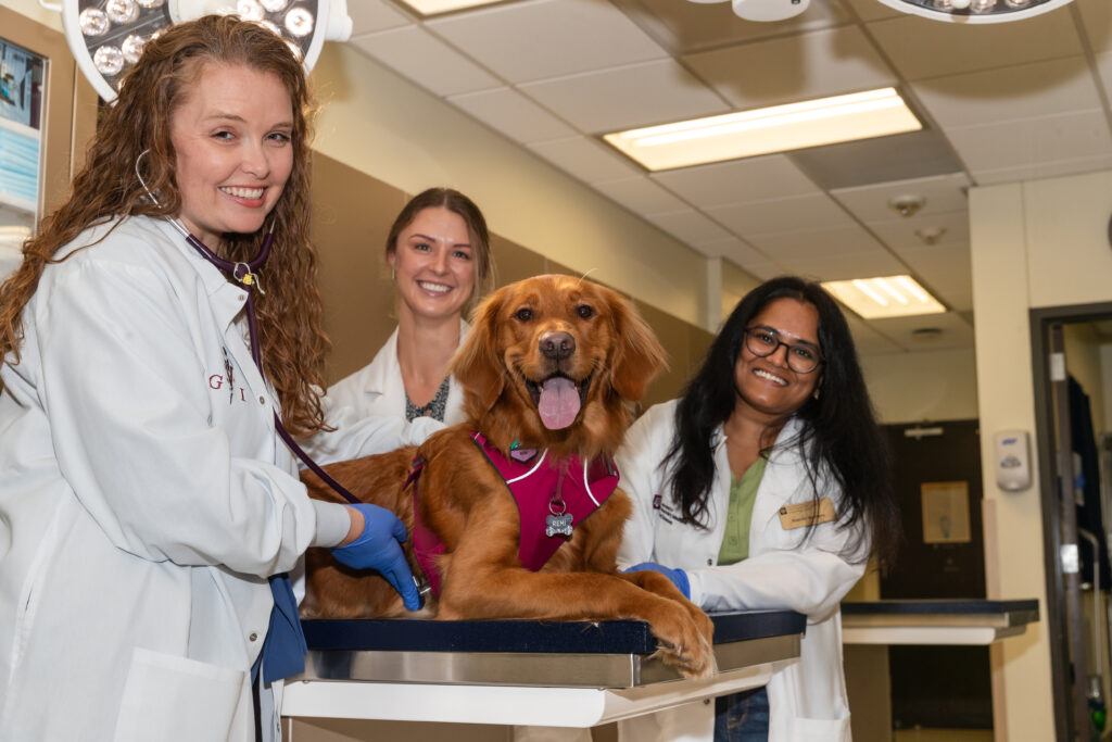 Three women in white lab coats pose for a photo with a dog on a veterinary clinic exam table.