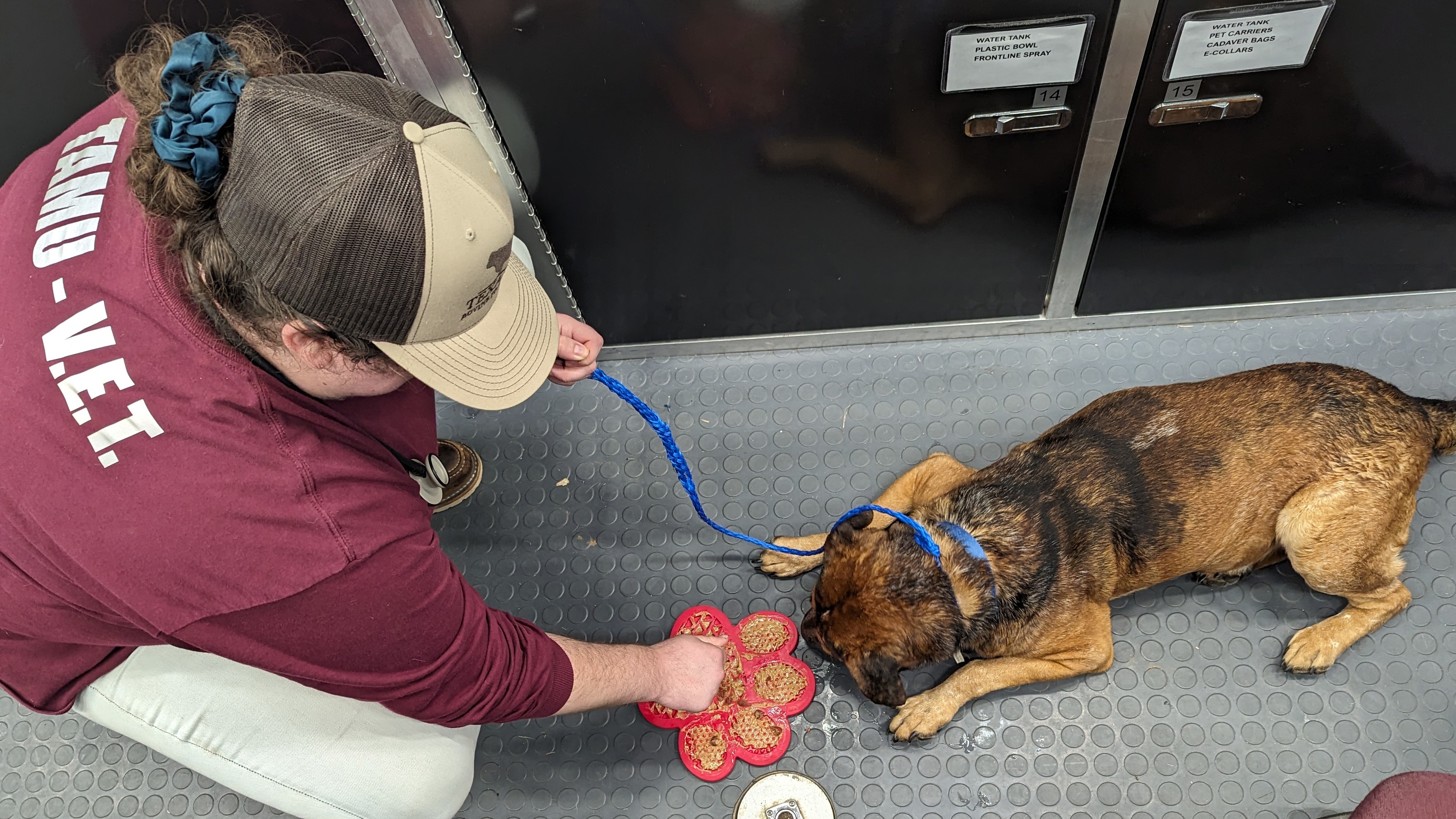 Texas A&M Veterinary Emergency Team Returns From Deployment To East ...