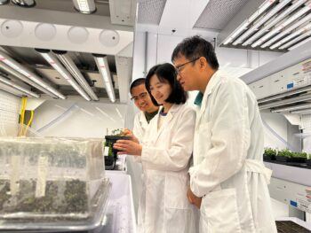 Changhou Li, Xingxing Yan, and Xiuren Zhang stand in lab coats looking at a potted plant in front of covered plant trays.
