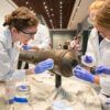 Nautical Archaeology Program graduate students Kimberly Breyfogle '23 (left), Alyssa Carpenter '22 (center) and Marissa Agerton '25 (right) gently clean the exterior of a four-pound bronze cannon used in the Battle of the Alamo.