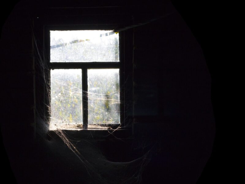 cobwebs around a window in a dark room