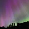 a photo of purple and green strands of light in the sky over a tree-filled ridge in British Columbia