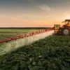 watering crops