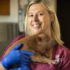 A photo of Dr. Jennifer Fridley holding a piglet.