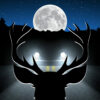 An illustration of a deer in the headlights of a vehicle at night during a full moon.