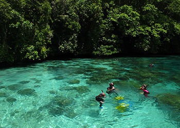 researchers prepare to dive to coral beds near Palau