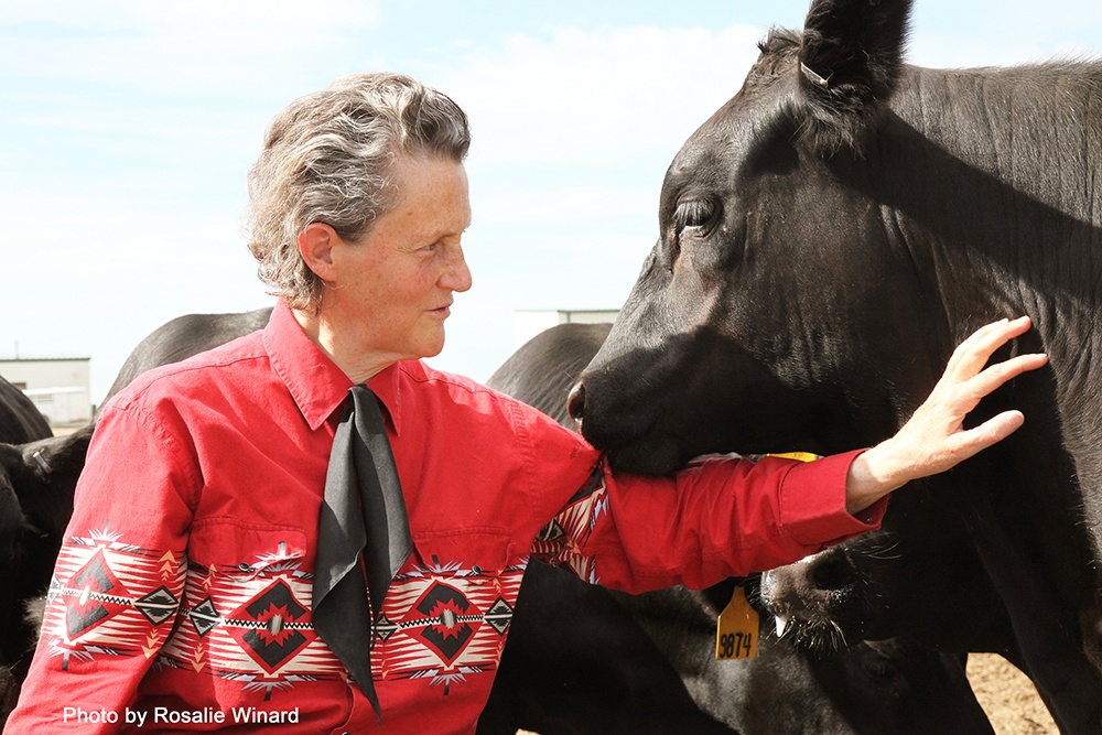 Temple Grandin2
