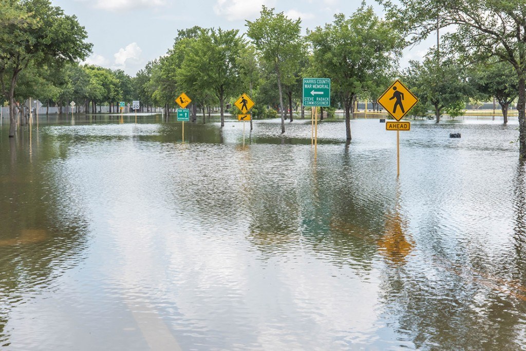 a flooded street. Signs rise above the water.