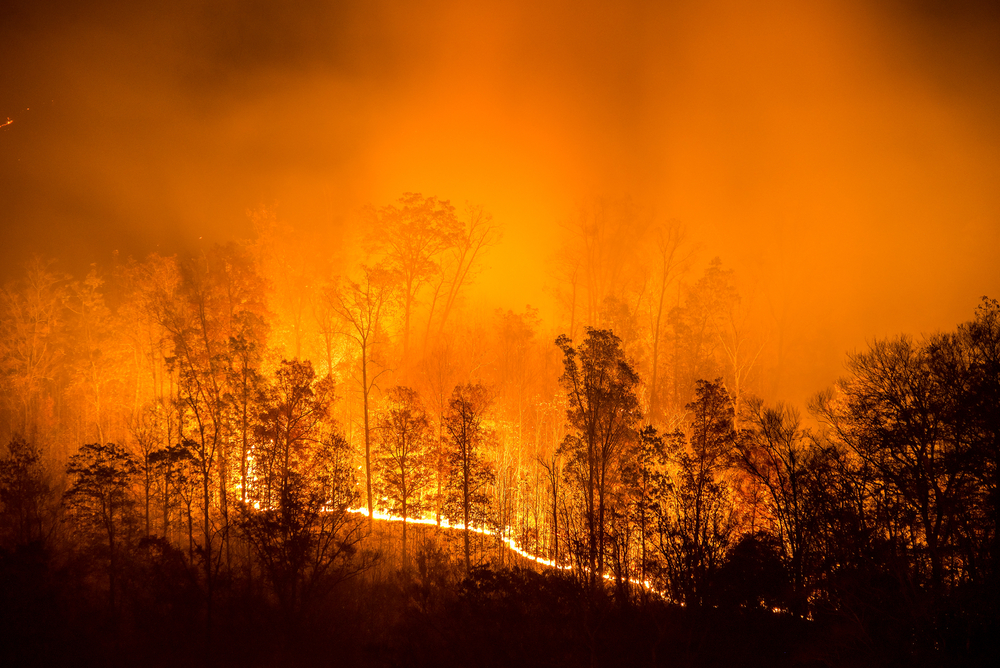 An autumn wildfire blazes in the Appalachian Mountains. (Shutterstock)