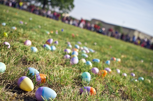 Easter eggs on the Bush Library lawn