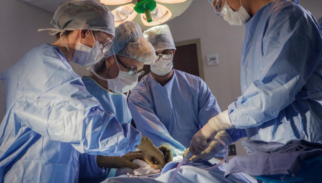 Surgeons operating