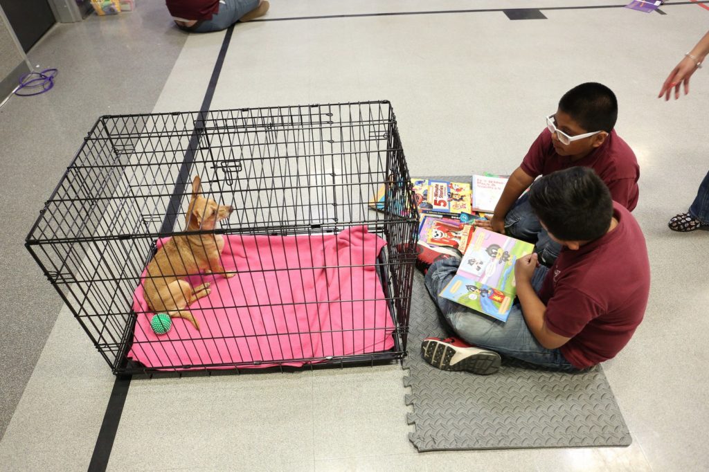 Two boys reading with dog in cage