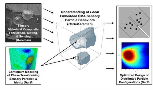 Graphic representation of understanding of Local Embedded SMA Sensory Particle Behaviors.