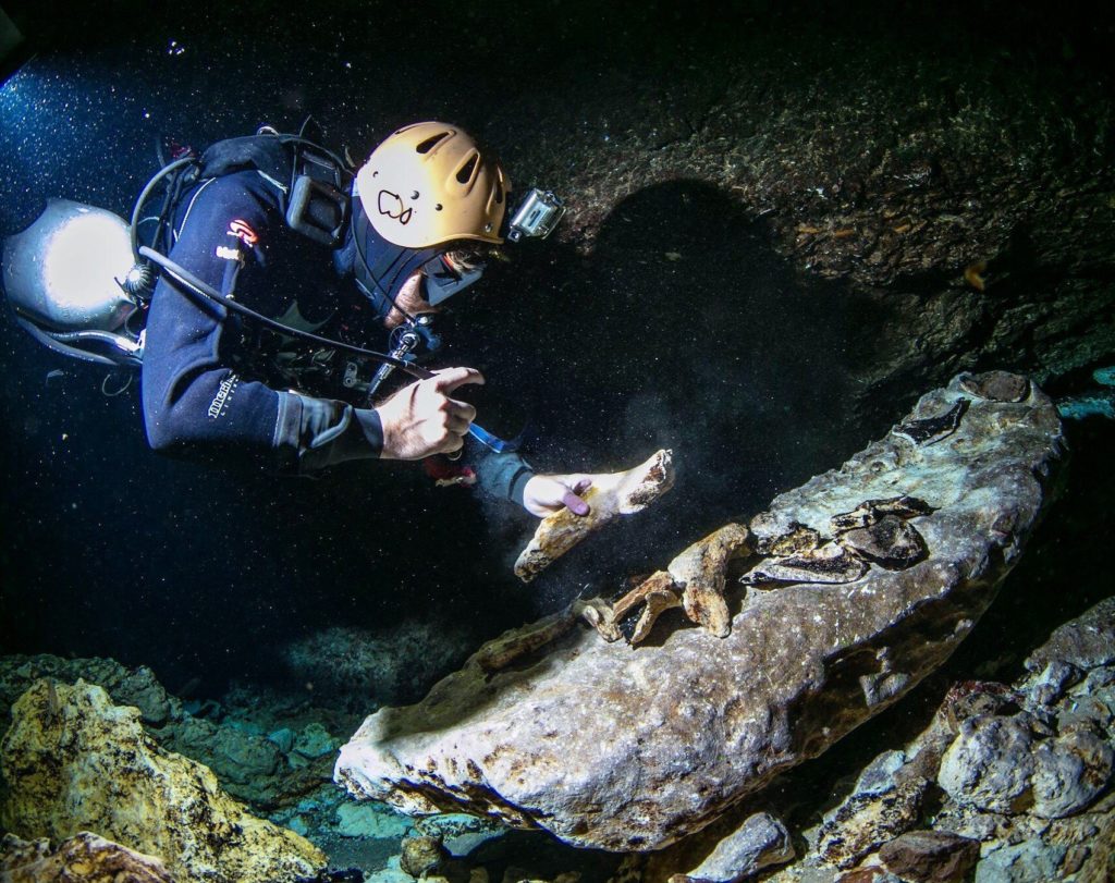Morgan Smith examines bones underwater