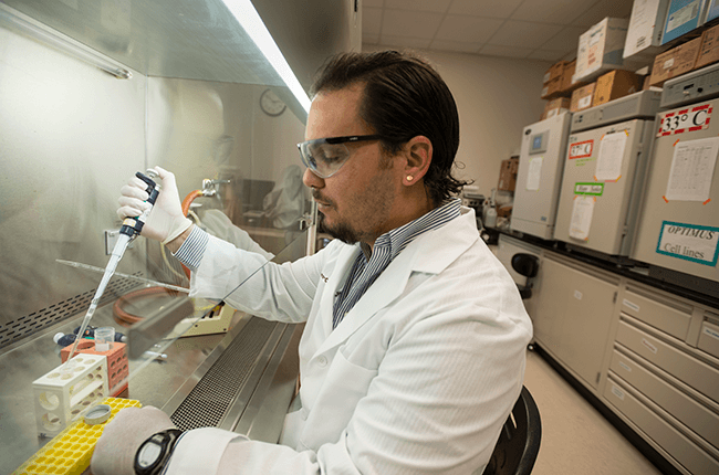 Erazo-Oliveras conducts research in the college’s Program in Integrative Nutrition and Complex Diseases laboratory.