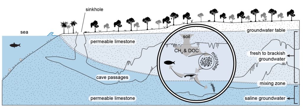 underwater cave diagram