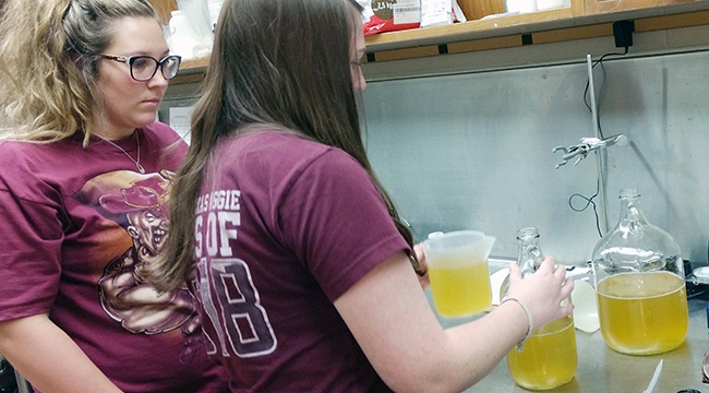 Students of Dr. Andreea Botezatu’s enology, or winemaking class, make wine as part of their studies. (Texas A&M AgriLife photo)