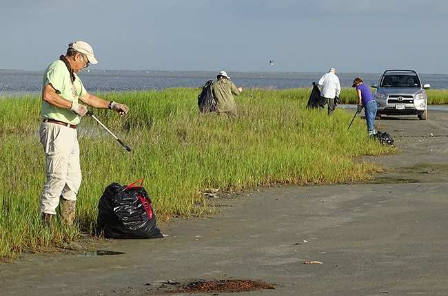 The Galveston Bay Area Chapter of the Texas Master Naturalists pick up debris at East Beach on Galveston Island after Hurricane Harvey. This clean-up was completed with the help of the Galveston Island Park Board. (Photo by Maureen Nolan-Wilde)