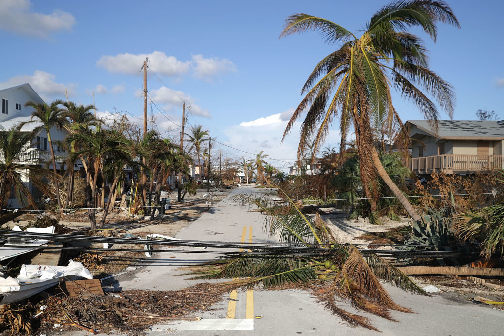 MARATHON, FL - SEPTEMBER 15: Trees and powerlines blown down by Hurricane Irma continue to block streets September 15, 2017 in Marathon, Florida. Many places in the Keys still lack water, electricity or mobile phone service and residents are still not permitted to go further south than Islamorada. The Federal Emergency Management Agency has reported that 25-percent of all homes in the Florida Keys were destroyed and 65-percent sustained major damage when they took a direct hit from Hurricane Irma. (Photo by Chip Somodevilla/Getty Images)