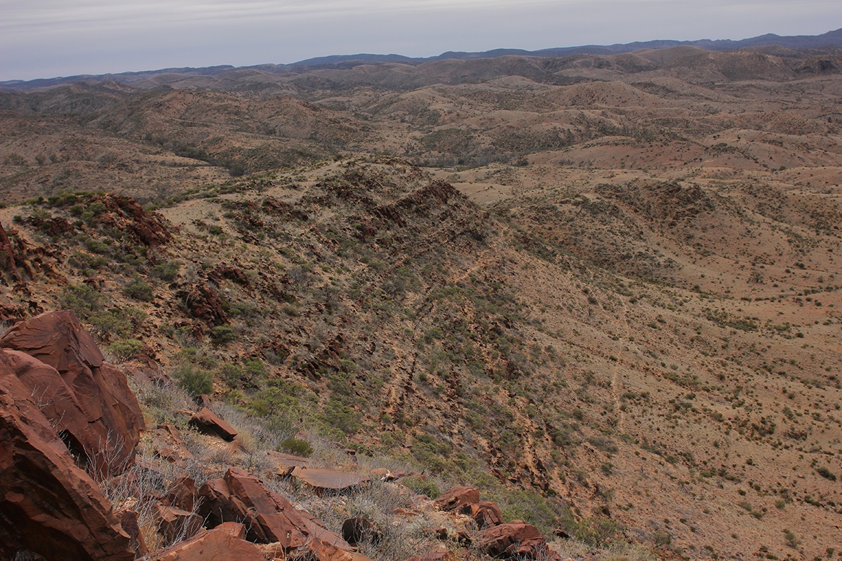 The Elatina Formation in South Australia. (Ryan Ewing/Texas A&M University College of Geosciences)