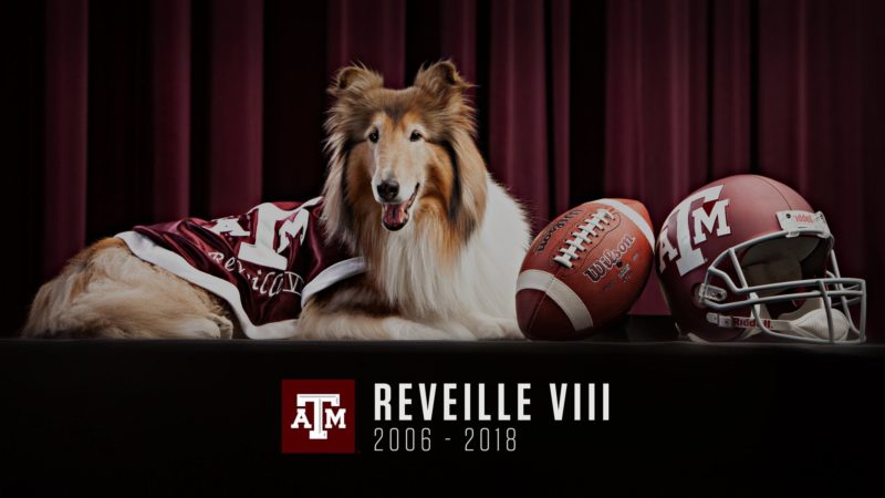 Reveille 8 Sitting with Football and Helmet