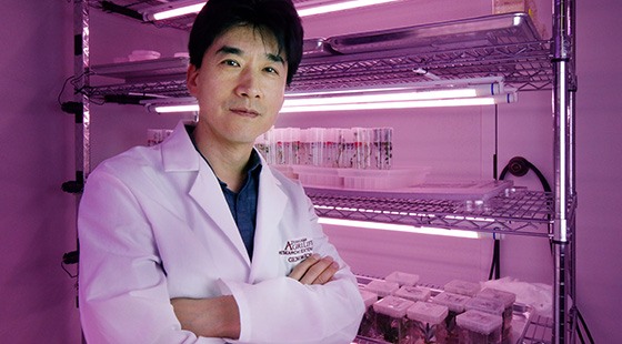 Dr. Junqi Song, Texas A&M AgriLife Research plant pathologist in Dallas, believes his team has discovered a system for achieving broad disease resistance in a number of staple food crops. (Gabe Saldana/Texas A&M AgriLife)