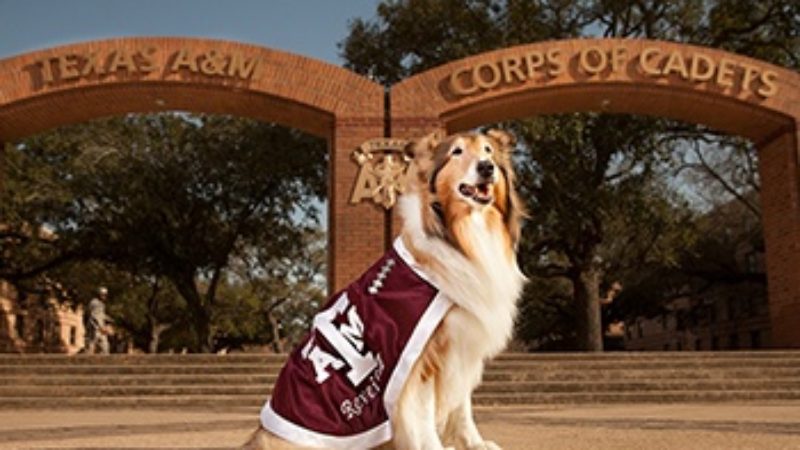 Reveille in front of Corps Arches