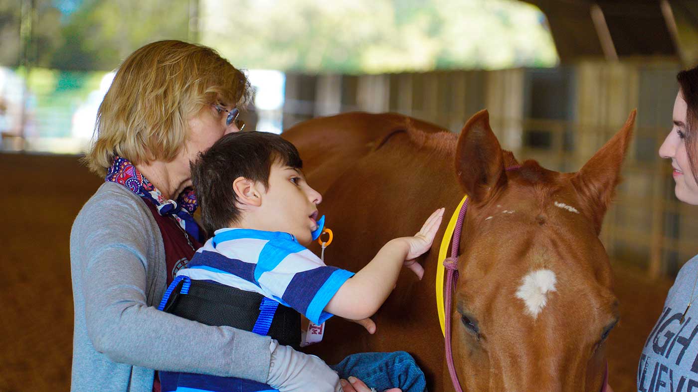 a photo of a boy with disabilities petting a horse